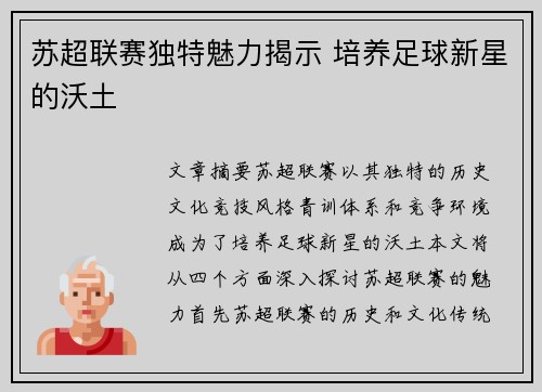苏超联赛独特魅力揭示 培养足球新星的沃土